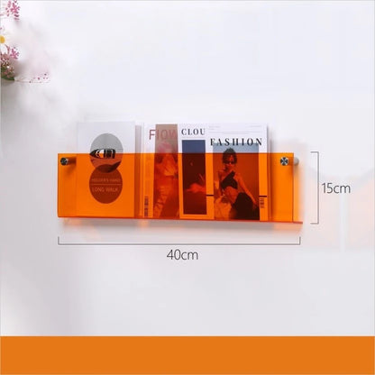 Wall mount acrylic brochure display for retail