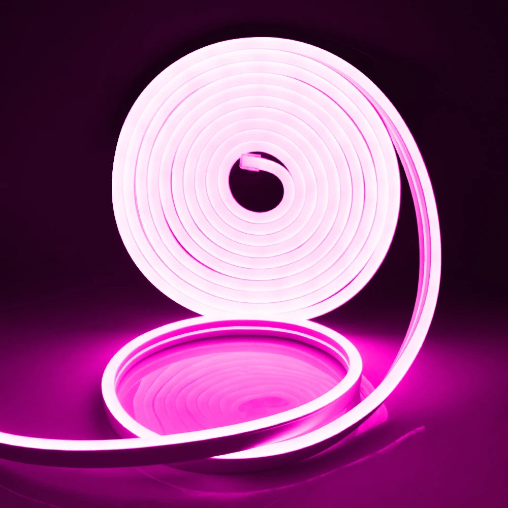 Blue LED neon strip light installation