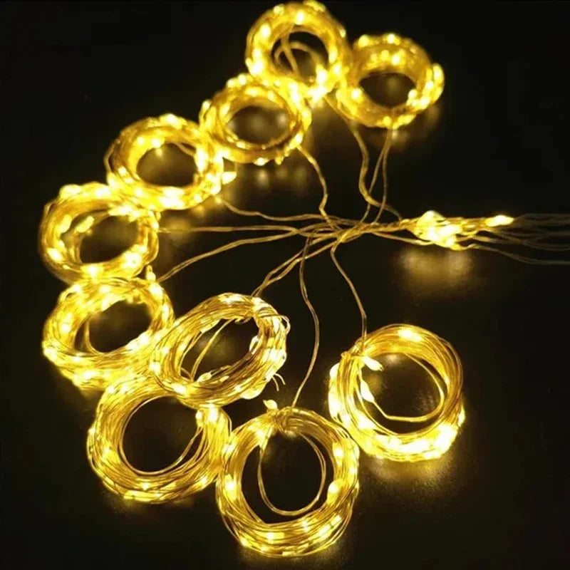 Multicolour curtain fairy lights party backdrop