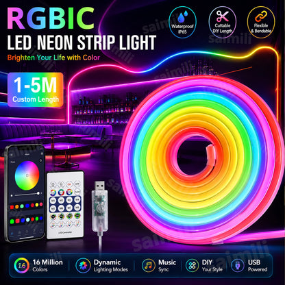 RGBIC neon LED strip Bluetooth app music sync light