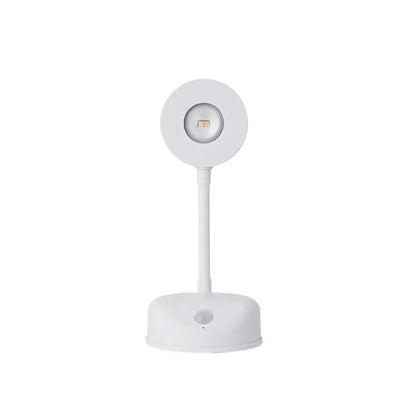 Motion sensor spotlight remote control