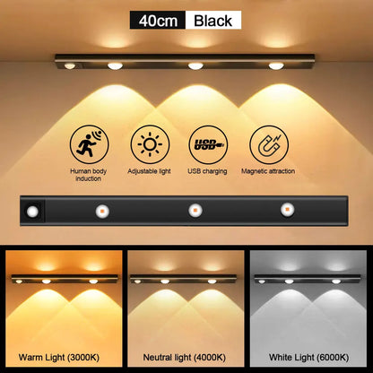 Motion sensor lighting 3 color modes