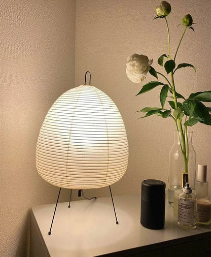 Japanese rice paper lamp plug options display