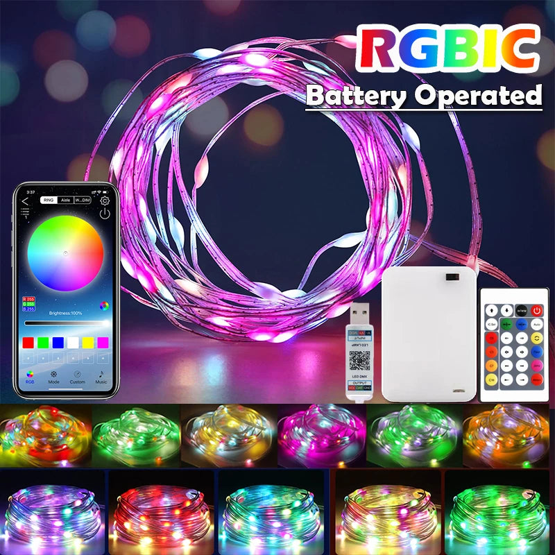 Bluetooth RGBIC fairy lights battery LED string lights