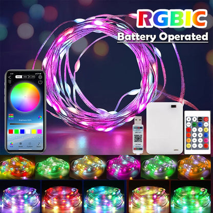 Bluetooth RGBIC fairy lights battery LED string lights