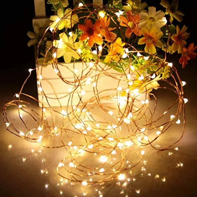 1M 2M 3M fairy light length comparison